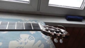 Готовая гитара Дабл-Топ верхняя и нижняя дека(видео №803).