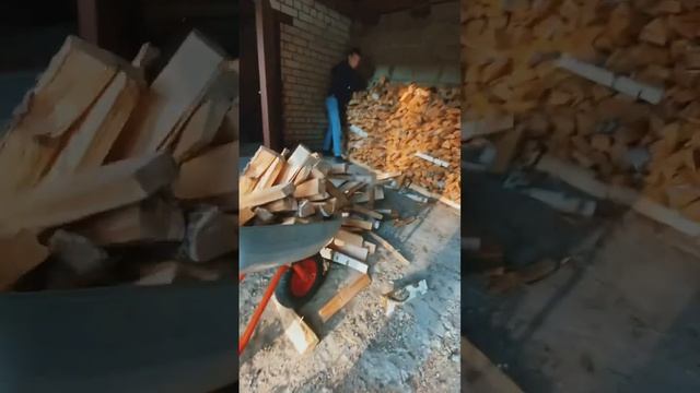 Финик со своими друзьями