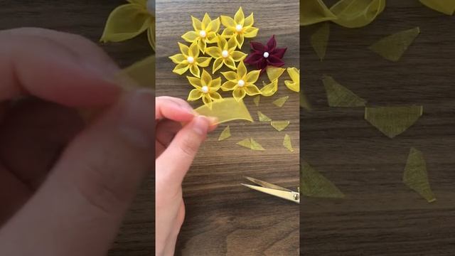 #harika#birmodel#daha#organza#ribbon#kaktüs ciceği смотреть онлайн