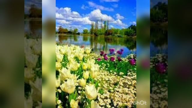 Поговоримо про рослини смотреть онлайн