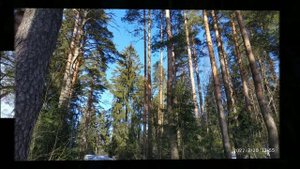 Токсовские высоты. Эко тропа.