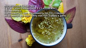 ПОЛЕЗНЫЕ РЕЦЕПТЫ из СЕМЯН УКРОПА