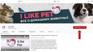 Где лучше разместить кошачий лоток?