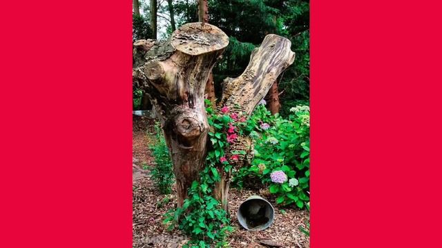 Как можно красиво оформить пень в саду или на даче!!! 75 лучших идей!!! смотреть онлайн