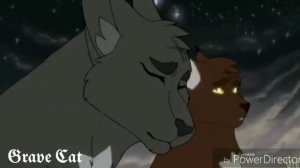 Коты-Воители - Снова день, снова ночь..