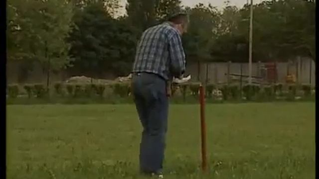 РИЗЕНШНАУЦЕР, МИТТЕЛЬШНАУЦЕР, И ЦВЕРГШНАУЦЕР