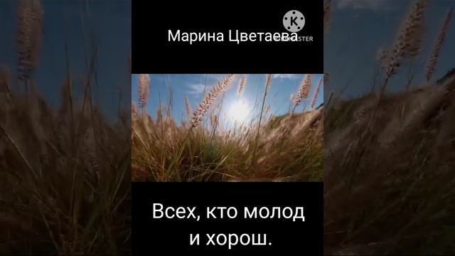 Марина Цветаева -"Горечь!Горечь! Вечный привкус..." стихотворение