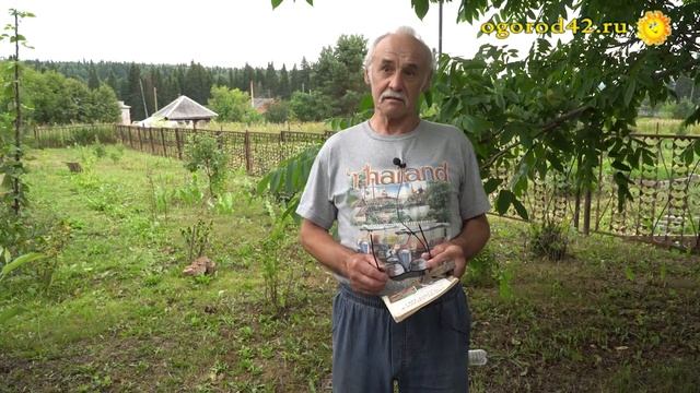 Не оправдала ожидания садовода рябина из посылки смотреть онлайн