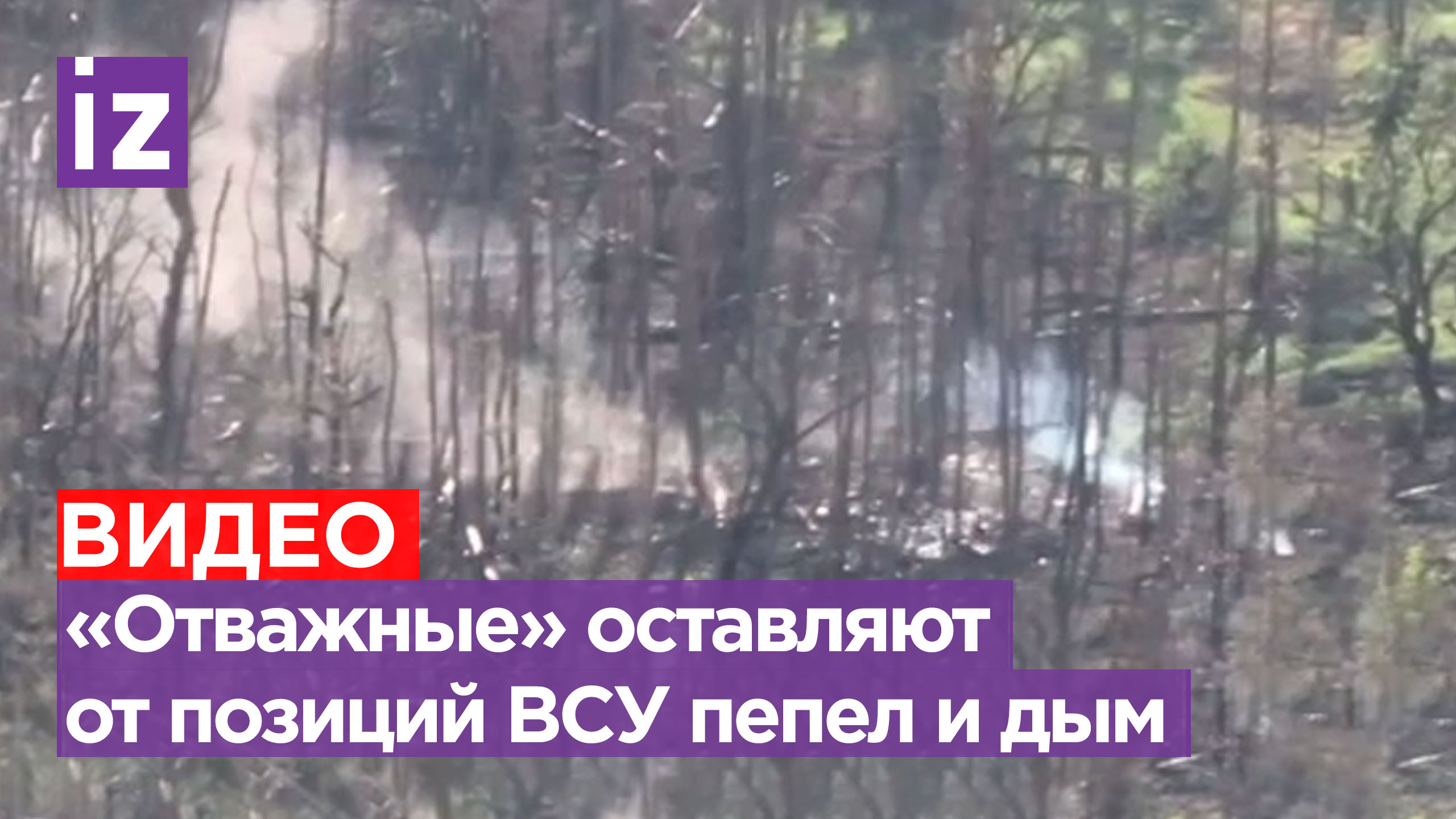 «Бешеные псы» выгрызают позиции ВСУ на Краснолиманском направлении / Известия