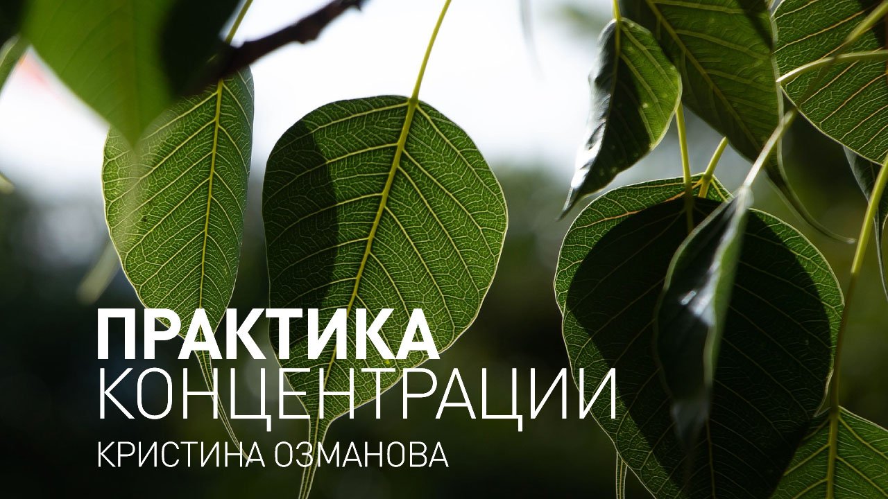 Майндфулнесс медитация. Практика концентрации.