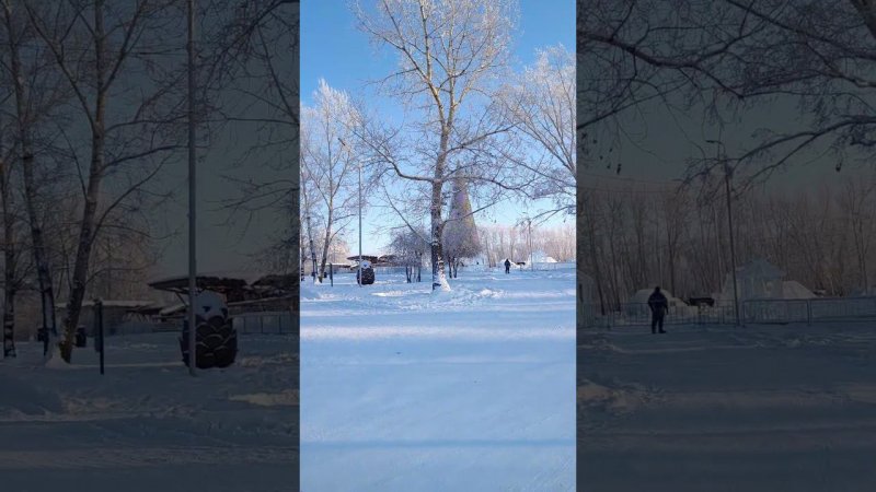 Городская ёлка Красноярск