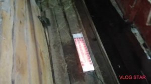 Сарай из опилок в - 44' прощел испытание