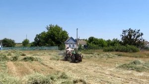 Грабли к мотоблоку Убираем ячмень