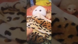 Кошечка Лили заболела ??