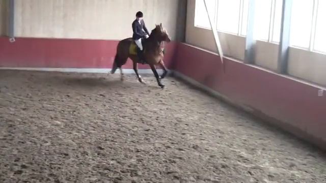 Aragva 9.04.2016 смотреть онлайн