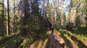 КВМЛО 2024 6 этап Цвелодубово 1/2 марафона Веломарка СПб