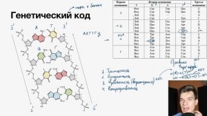 2.56. Свойства генетического кода | Цитология к ЕГЭ | Георгий Мишуровский