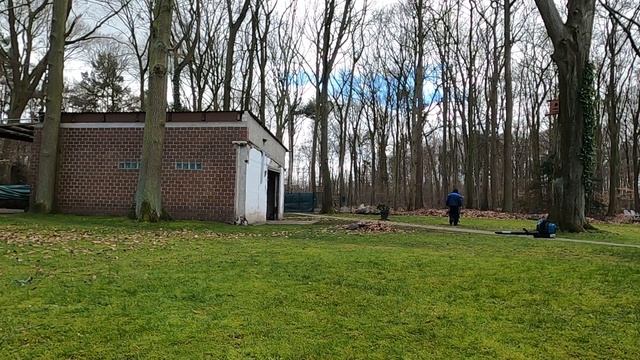 Налог на дизельный автомобиль 2021, чем занимаюсь,жизнь как она есть.Влог.Германия смотреть онлайн