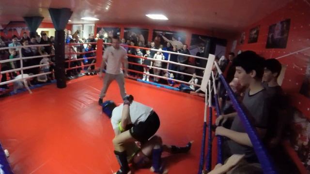 Спарта MMA смотреть онлайн