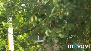 Поездка в Моздок на рынок