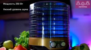 Сушилка Мастерица EFD-3070 - компактная помощница на кухне