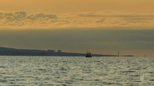 Рыбалка Карелия,троллинг,онежское озеро,деревянка