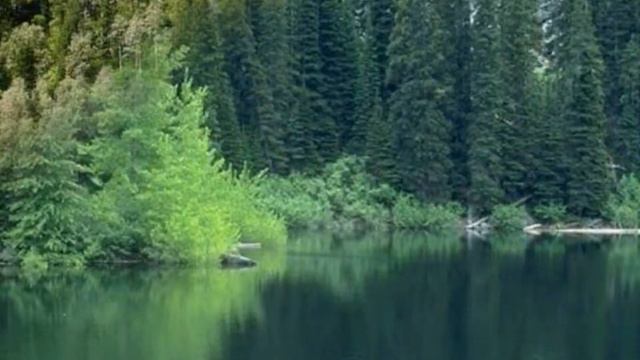 Цветотерапия