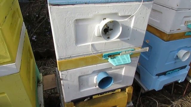 17.04.2023 года - получил заказ с фирмы BienenHaus, проставочные донья для утепления, 8 рамочники смотреть онлайн