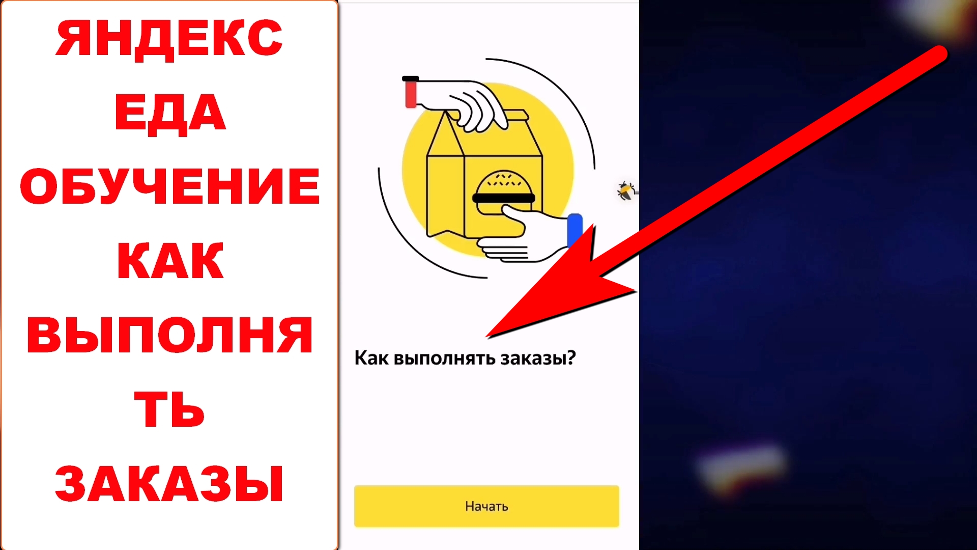 Яндекс Еда обучение. Как выполнять заказы. Подойдет и для Яндекс Доставки в приложении Яндекс Про