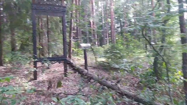 Музей наличников Брянский лес смотреть онлайн