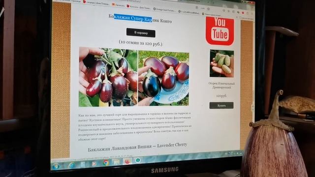 Таких сортов БАКЛАЖАНОВ Вы ещё НЕ ПРОБОВАЛИ! Семена уже в наличии на pomidom.ru