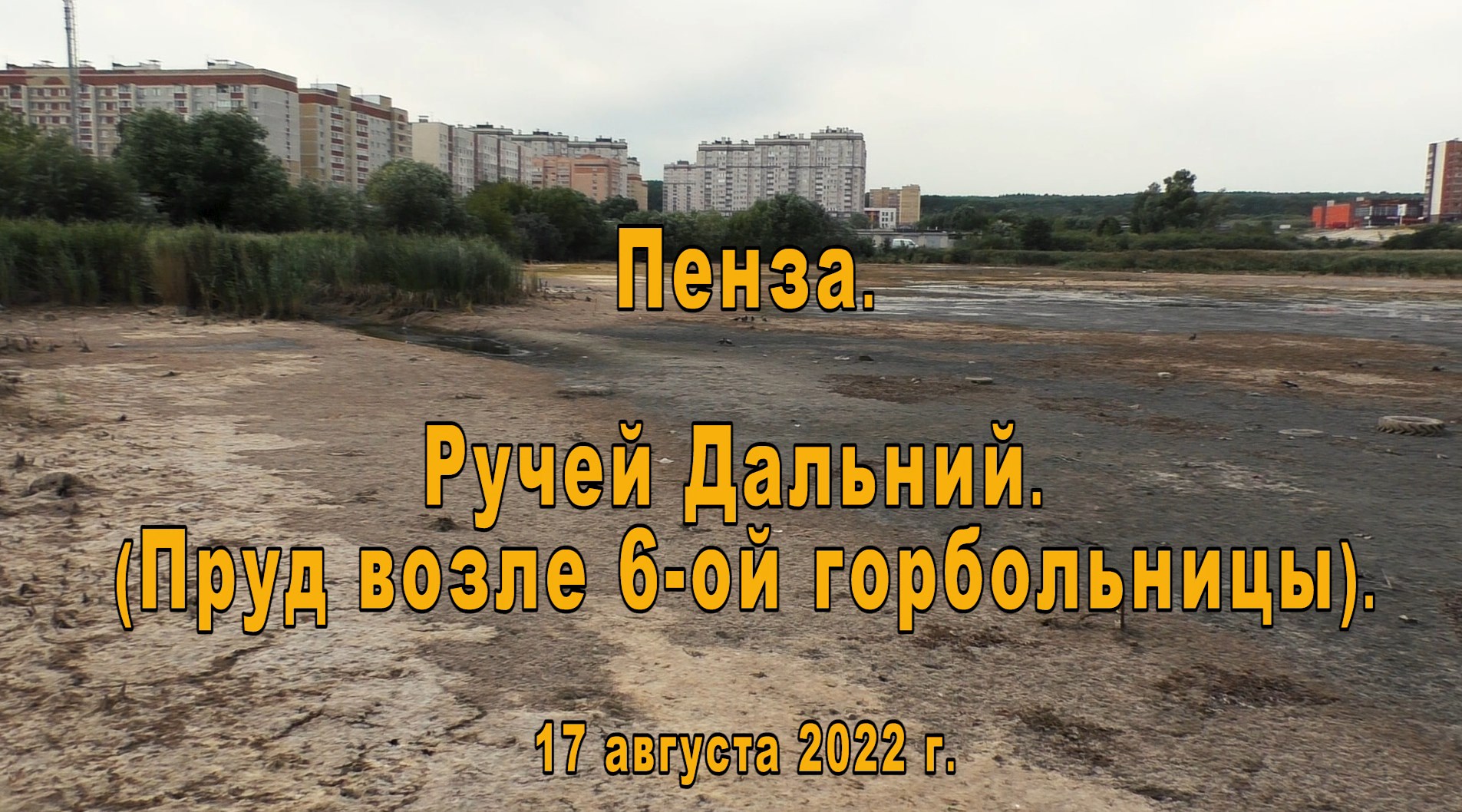 Горячая вода пенза арбеково сегодня. Пруд у 6 горбольницы Пенза. Пруд около 6 городской больницы Пенза. Ручей Дальний Пенза. Пруд 6 городская Пенза.