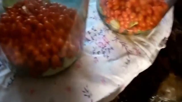 РЕЦЕПТ очень вкусного и полезного ассорти КОМПОТА ИЗ ОБЛЕПИХИ/Sea buckthorn mors смотреть онлайн