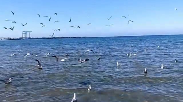 ГалинаКузоро ==УЛЕТАЮТ ДУШИ== смотреть онлайн