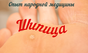 ШИПИЦА