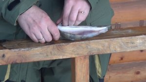 Как правильно разделывать окуня