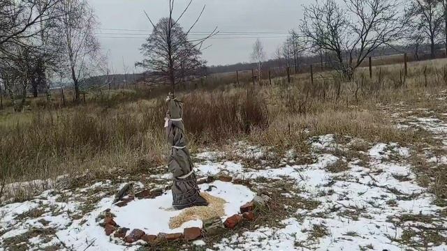 Прогулка по зимнему саду