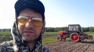 Вторая культивация арбуза и дыни 12 06 2019
