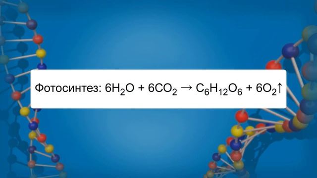 Обмен веществ и энергии в клетке. Видеоурок по биологии 9 класс