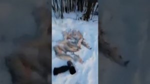 Рыбалка на язя р.Казым