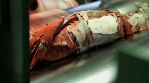 Производство РТИ. С чего начинается?