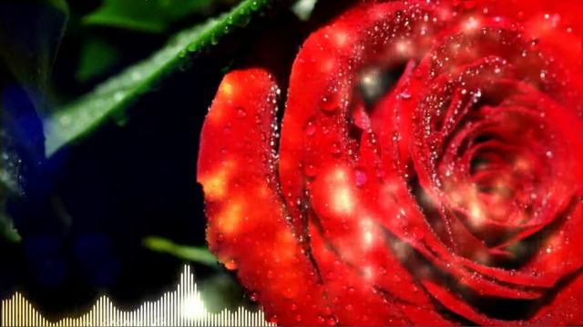 RedRose (NeonVisual) смотреть онлайн