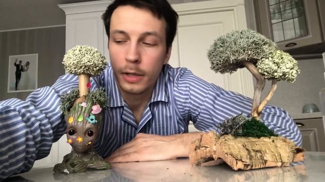 ГРУТ И ДЕРЕВО - удивят всех смотреть онлайн