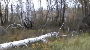 Медведецкая гряда - сильная геоактивная зона