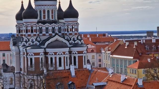 Эстония.Таллинн.Церковь-музей Нигулисте.Лифт уносит на новые смотровые площадки!Невероятные виды!