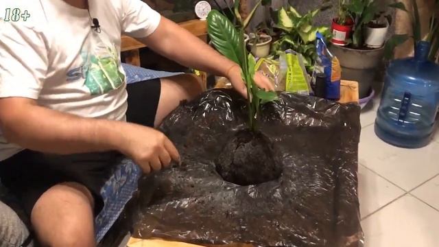 Делаем КОКЕДАМУ - ЗЕМЛЯНУЮ кочку для СПАТИКА смотреть онлайн