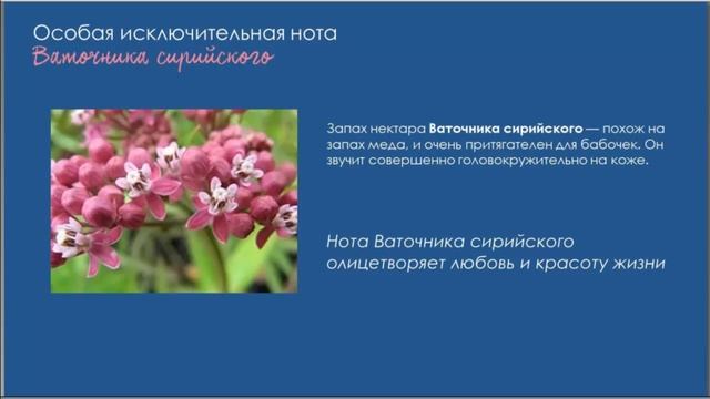 Объект желания миллионов Парфюм TODAY от AVON смотреть онлайн