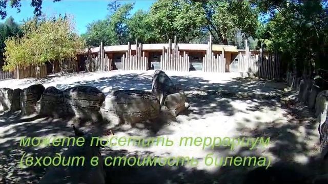 Лиссабон зоопарк смотреть онлайн