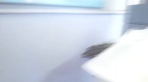 Обзор на Типографию, в которой печатаются газеты, бланки.