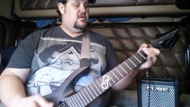 Washburn Solar 170 Reviewed By Truck Driver Shawn смотреть онлайн